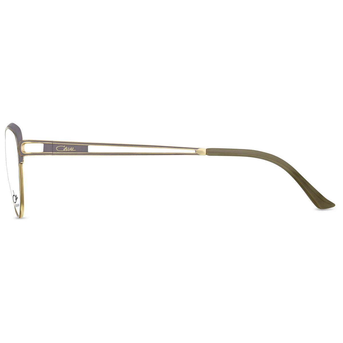 #color_004 flint grey-gold
